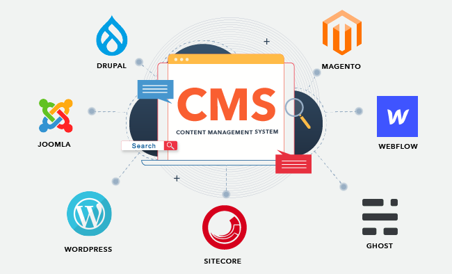What is CMS and WordPress?