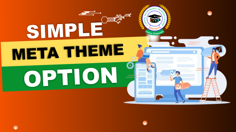 Simple Meta Theme Option